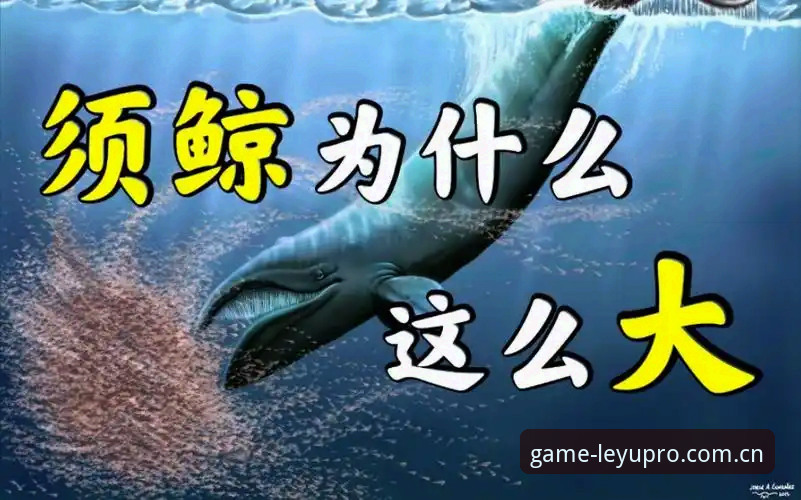 深度揭秘乐鱼体育赛事平台背后的观赛革命：从数据追踪到沉浸式体验的进化之路